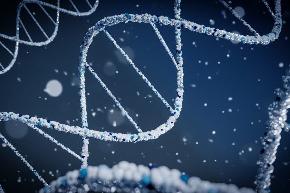 Telomeres