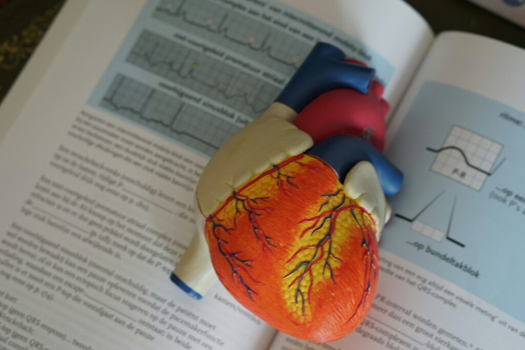 Dash Diet for hypertension and the heart